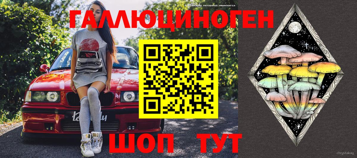 Псилоцибиновые грибы Psilocybe  Вход с VPN  Ессентуки 