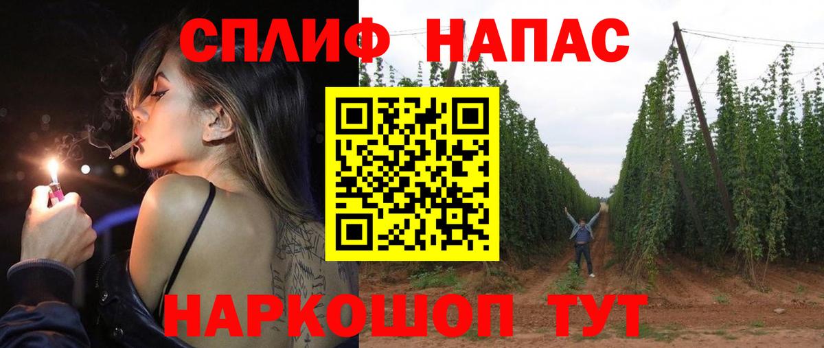 Ессентуки  Канабис OG Kush  Вход с VPN  Марихуана VHQ 